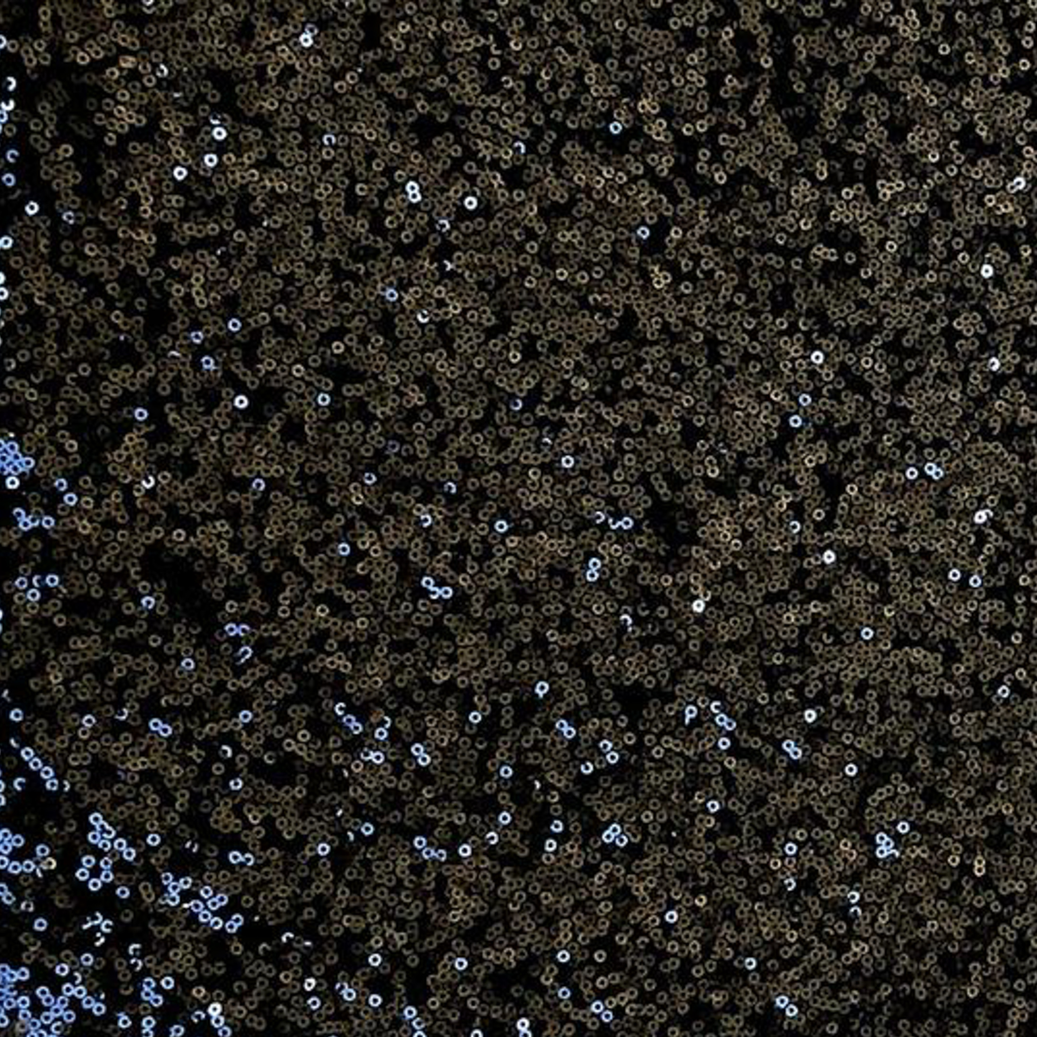Black Sequins Fabric Swatch – The Maiden
